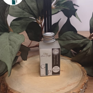 Aromatizador Ambiente | Vanila Back - 30 ml